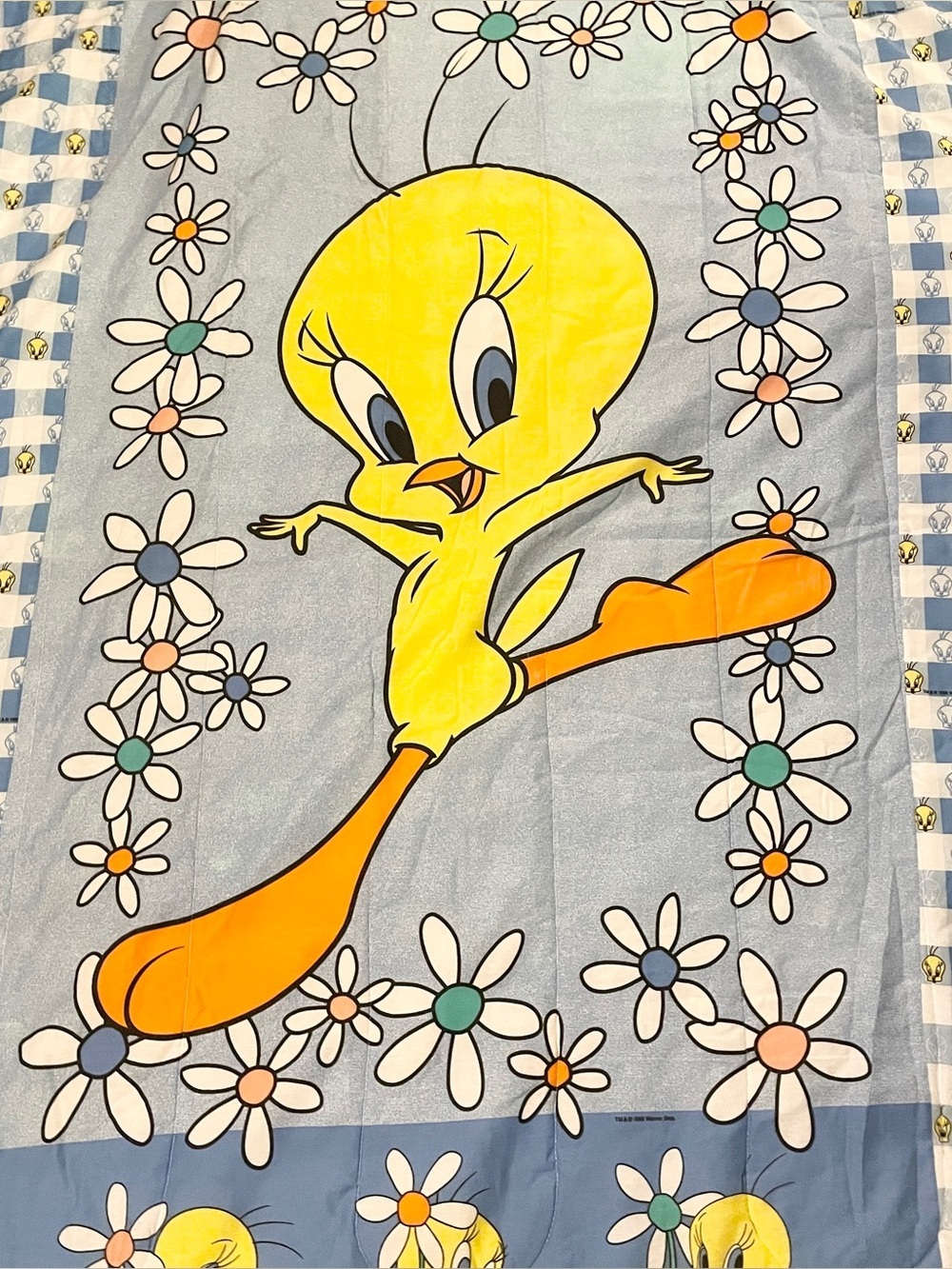 Vtg Warner Bros Tweety Bird Reversible Twin Comforter Blue Daisy Gingham Flaw